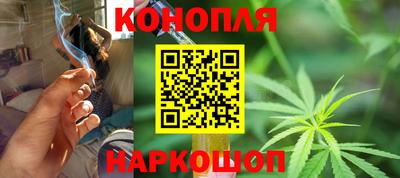 сатива Краснокаменск